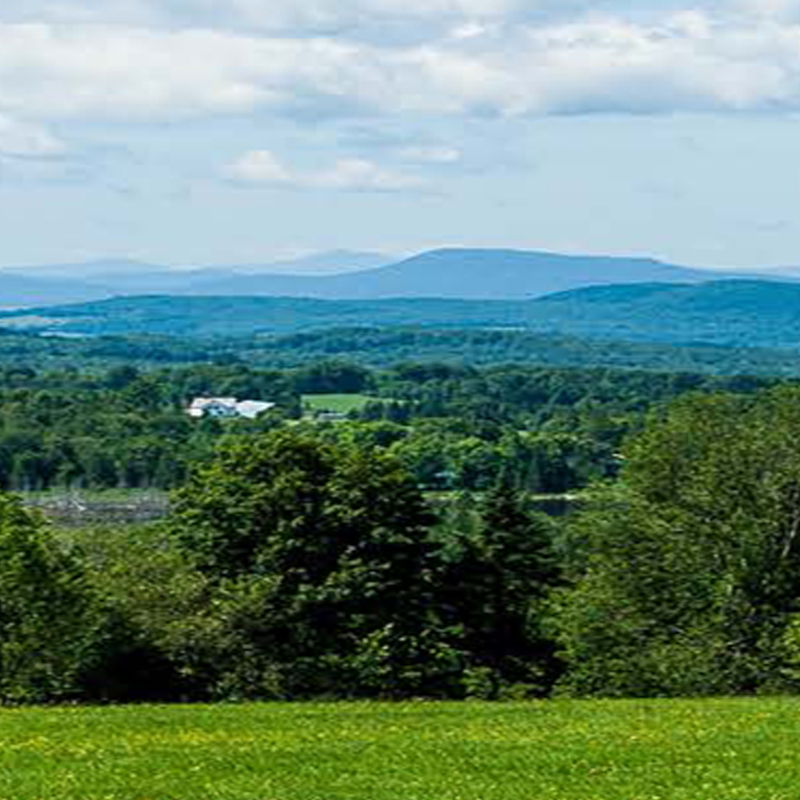 8-Acre Mountain Property